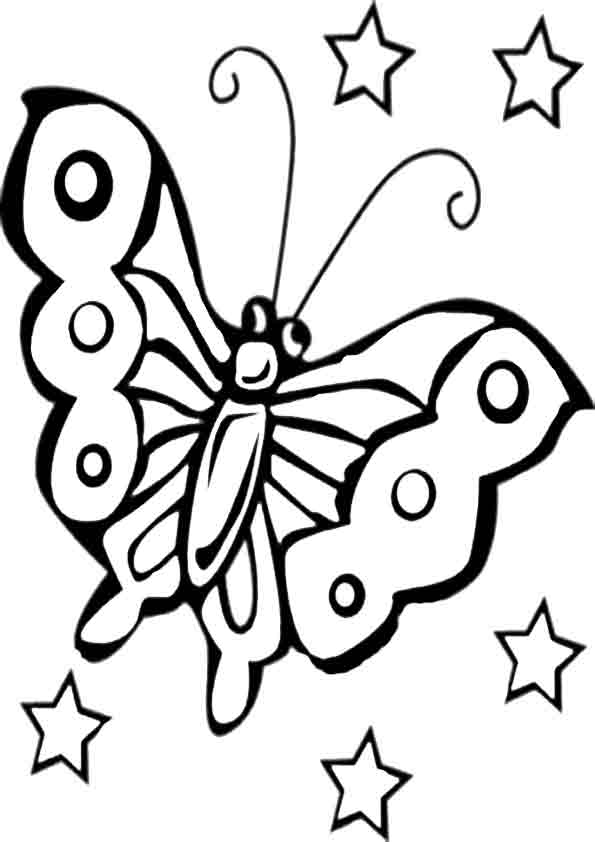 Schmetterling 11